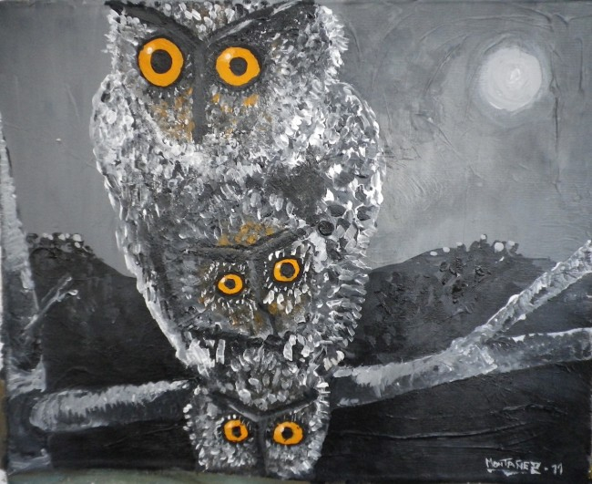 Out of darkness (Owls)