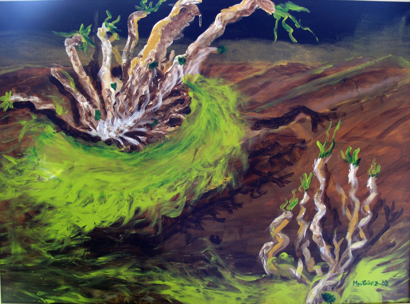 Poisoned dragon trees