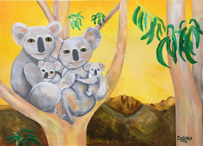 Familia de koalas